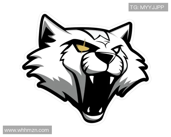 电竞新闻深入分析FPX在CSGO中的防反策略与战术运用